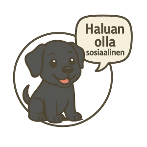 koiranpentujen sosiaalistaminen