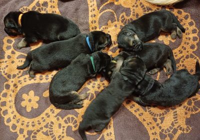 WhatsApp-Image-2026-03-23-at-12.45.25